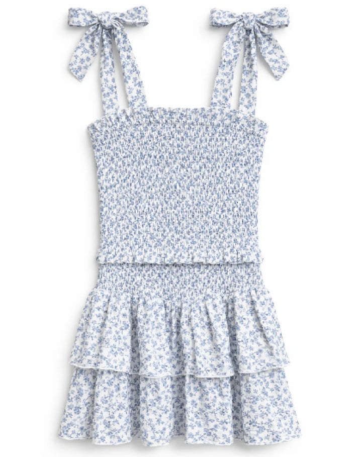 Katie J NYC  Juniors Emerson Dress - Blue Mini Toile