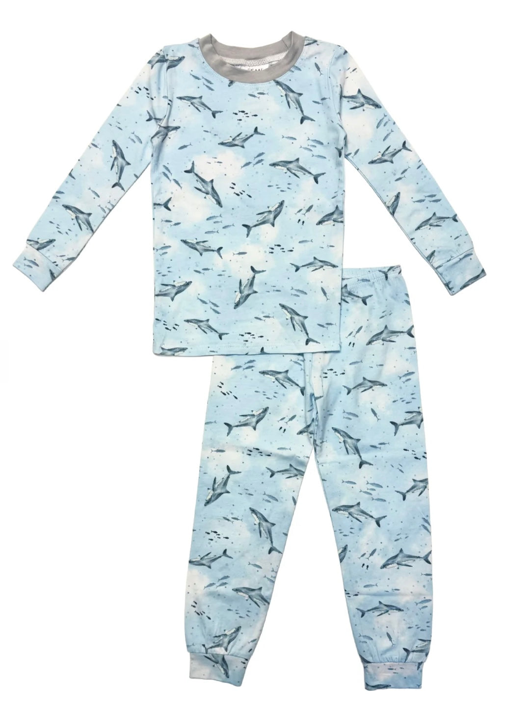 Esme Boy's New Shark Pajama Set